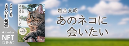 動物写真家 岩合光昭さんによる最新写真集！『あのネコに会いたい NFTデジタル特典付特装版』販売